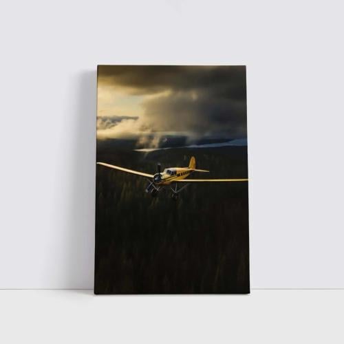 طائرة في عتمة الغابة