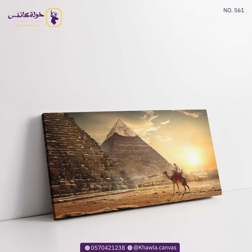 الأهرام و سفينة الصحراء