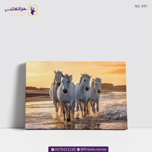 على الشاطئ