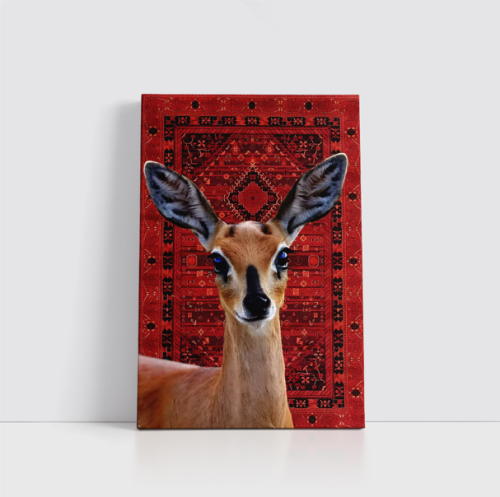 سكون الغزال