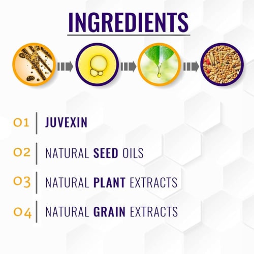جي كي شامبو الفضي للشعر الاشقر 280 مل