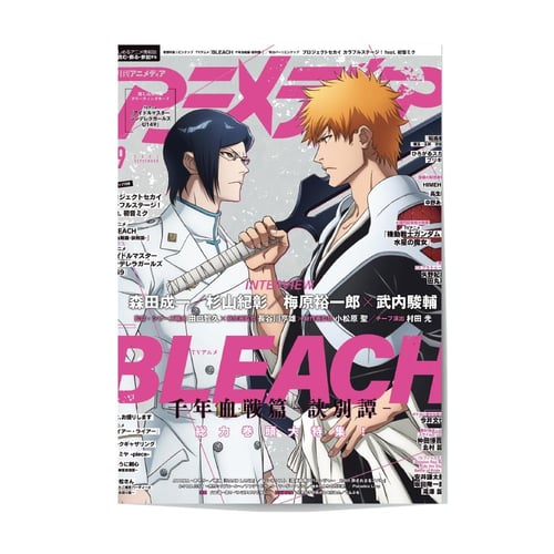 Mini Poster Set: Bleach