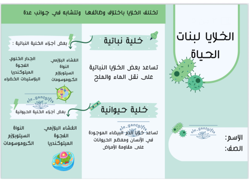 مطويات علوم اول متوسط الترم الثاني