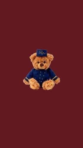 Teddy Bear groom key ring