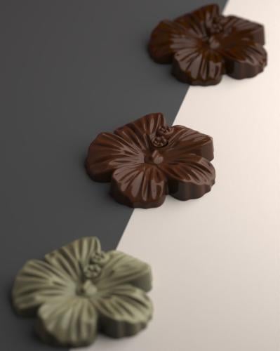 قالب شوكلاته زهره توليب