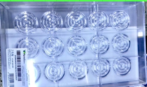 قالب دائري حلزوني