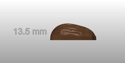 قالب شوكلاته تمر