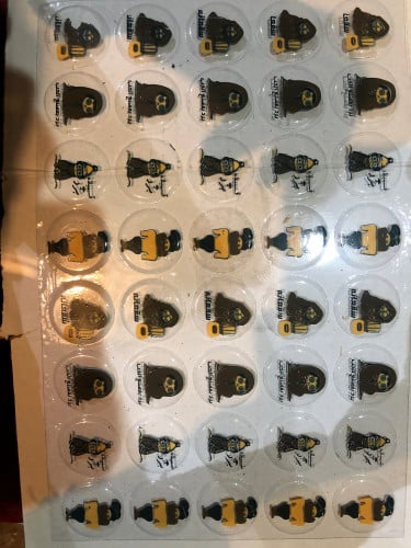 ترانسفير الشتاء