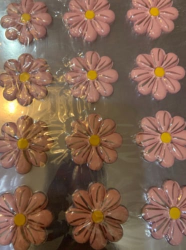 ترانسفير ورد