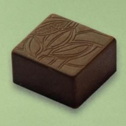 قالب شوكلاته مربع