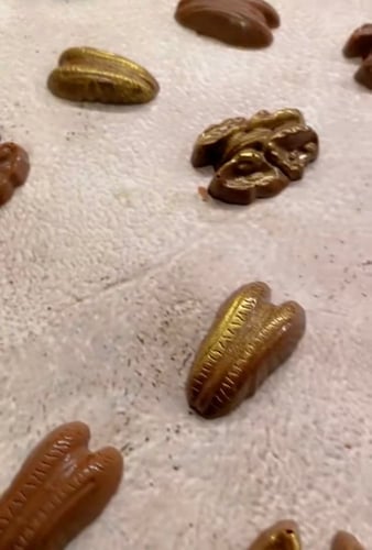 قالب المكسرات