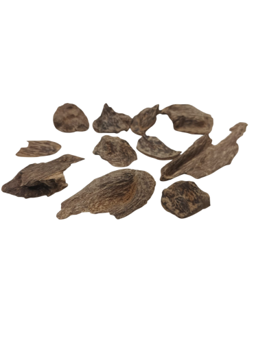 عود كمبودي دبل سوبر