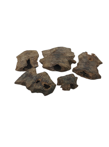 عود كينامي الصيني دبل و تربل سوبر