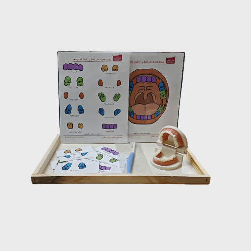 منتسوري التعرف على أسناني