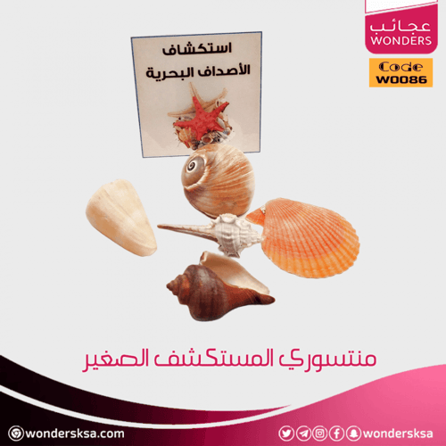 منتسوري المستكشف الصغير