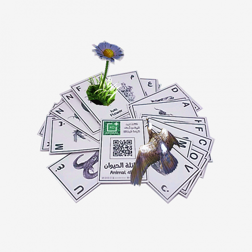 بطاقات عائلة الحيوان رباعية الأبعاد