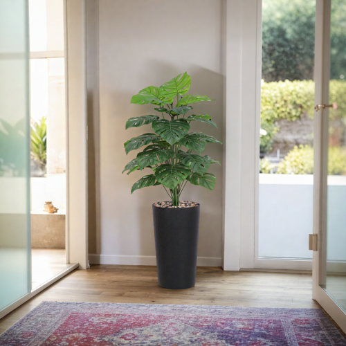 شجرة ورق مونستيرا بمركن بلاستيك إسطواني