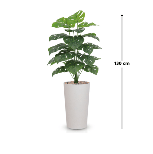 شجرة ورق مونستيرا بمركن بلاستيك إسطواني
