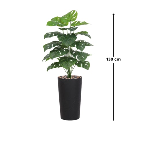 شجرة ورق مونستيرا بمركن بلاستيك إسطواني