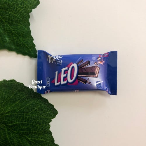 مغناطيس ليو