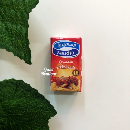 مغناطيس صلصة طماطم