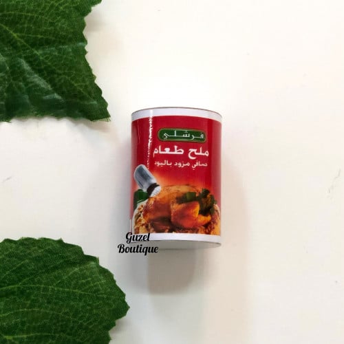 مغناطيس ملح