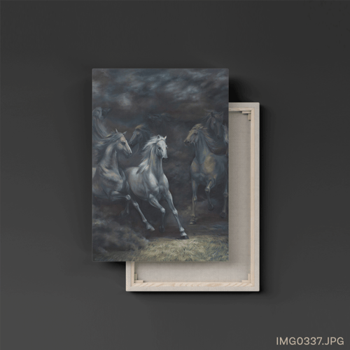 زِرة - (T-IMG0337)