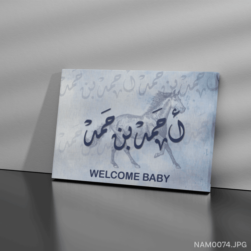 أحمد بن حمد - (W-NAM0074)