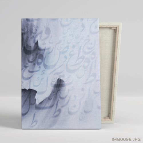 عاصفة ثلجية - (T-IMG0096)