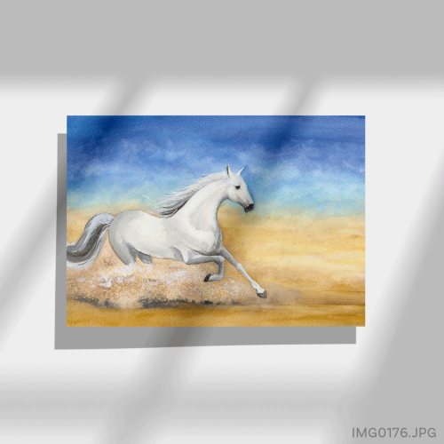 الطائر - (W-IMG0176)