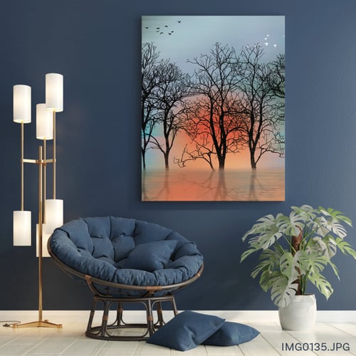 إشراقة الأمل - (T-IMG0135)