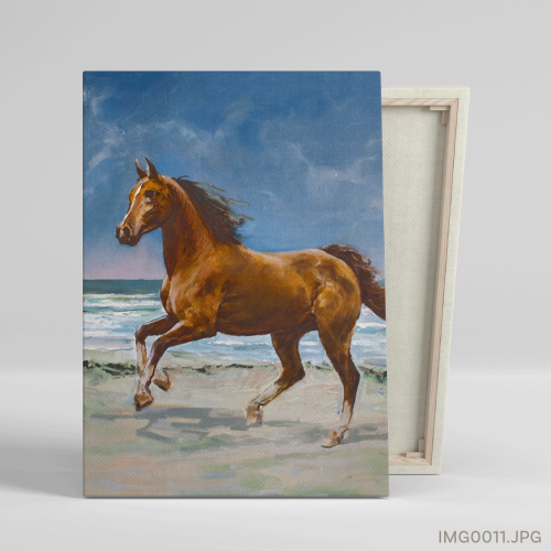 البارز - (T-IMG0011)