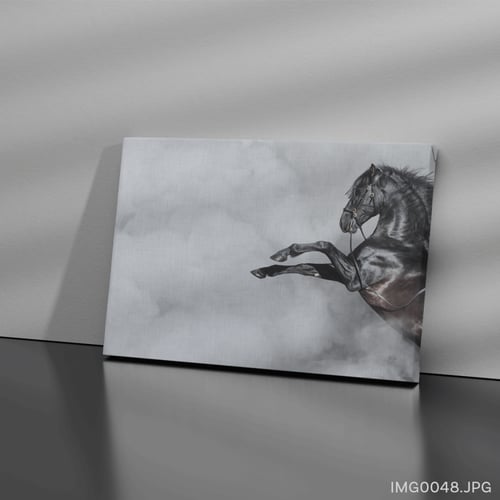 الشهباء - (W-IMG0048)