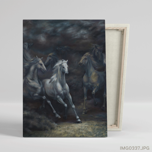 زِرة - (T-IMG0337)