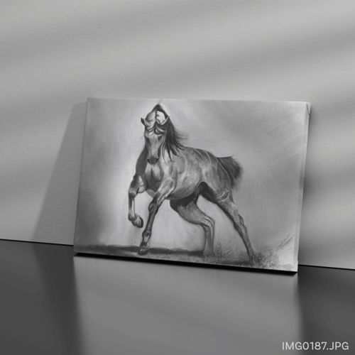 الحوى - (W-IMG0187)