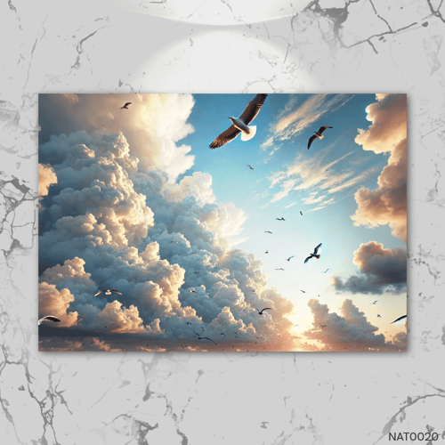 سماء وغيوم - NAT0020