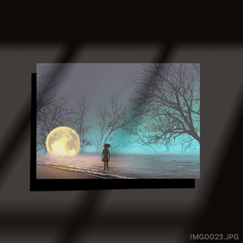 على سطح القمر - (W-IMG0023)