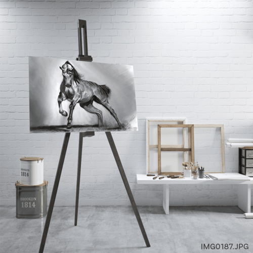 الحوى - (W-IMG0187)