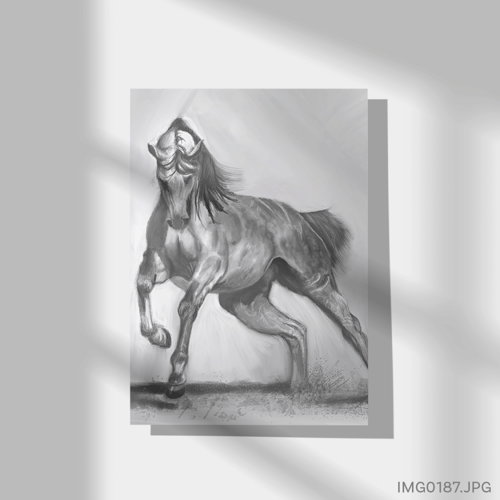 الحوى - (T-IMG0187)