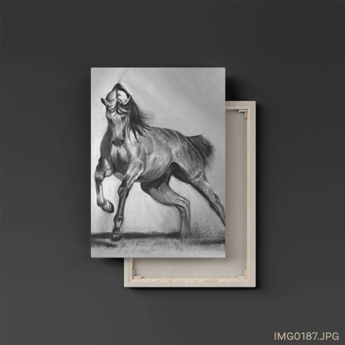 الحوى - (T-IMG0187)