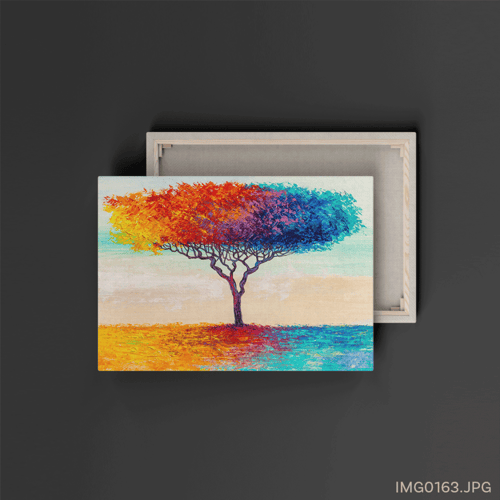 حقول التوليب - (W-IMG0163)