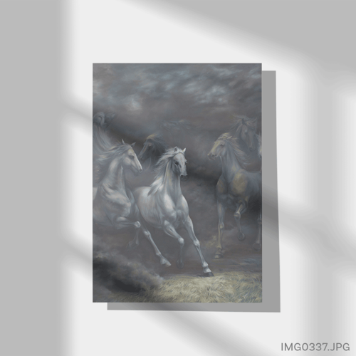 زِرة - (T-IMG0337)