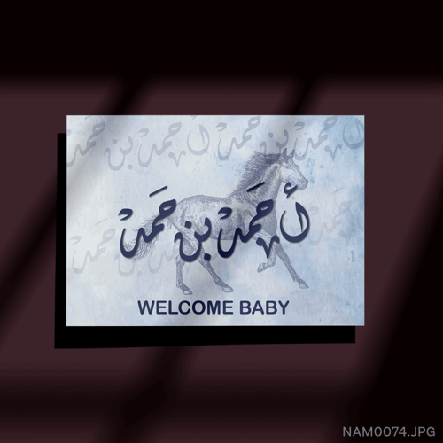 أحمد بن حمد - (W-NAM0074)