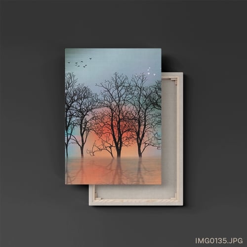 إشراقة الأمل - (T-IMG0135)