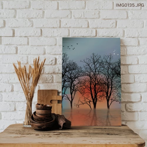 إشراقة الأمل - (T-IMG0135)