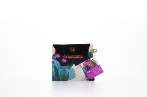 هامبيلا قوجي اثيوبيا بريهانت محصول فاخر