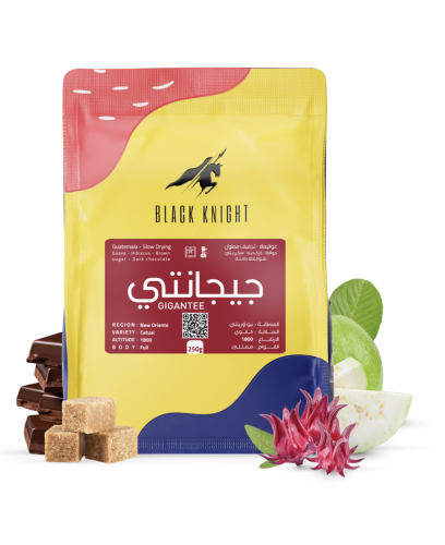 جيجانتي - غواتيمالا - الفارس الاسود