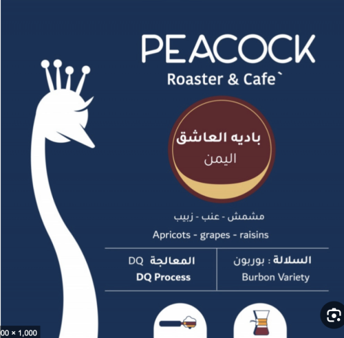 اليمن بادية العاشق الطاؤوس محصول فاخر