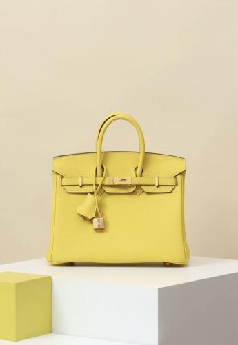 Birkin 25 Togo