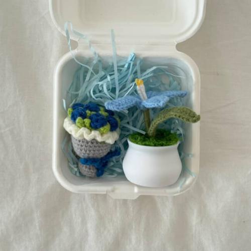 صندوق الازهار الزرقاء